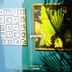 Picnic Podcast 024 - GNMR