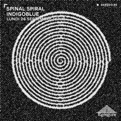 Spinal Spiral - Indigoblue (Septembre 2022)