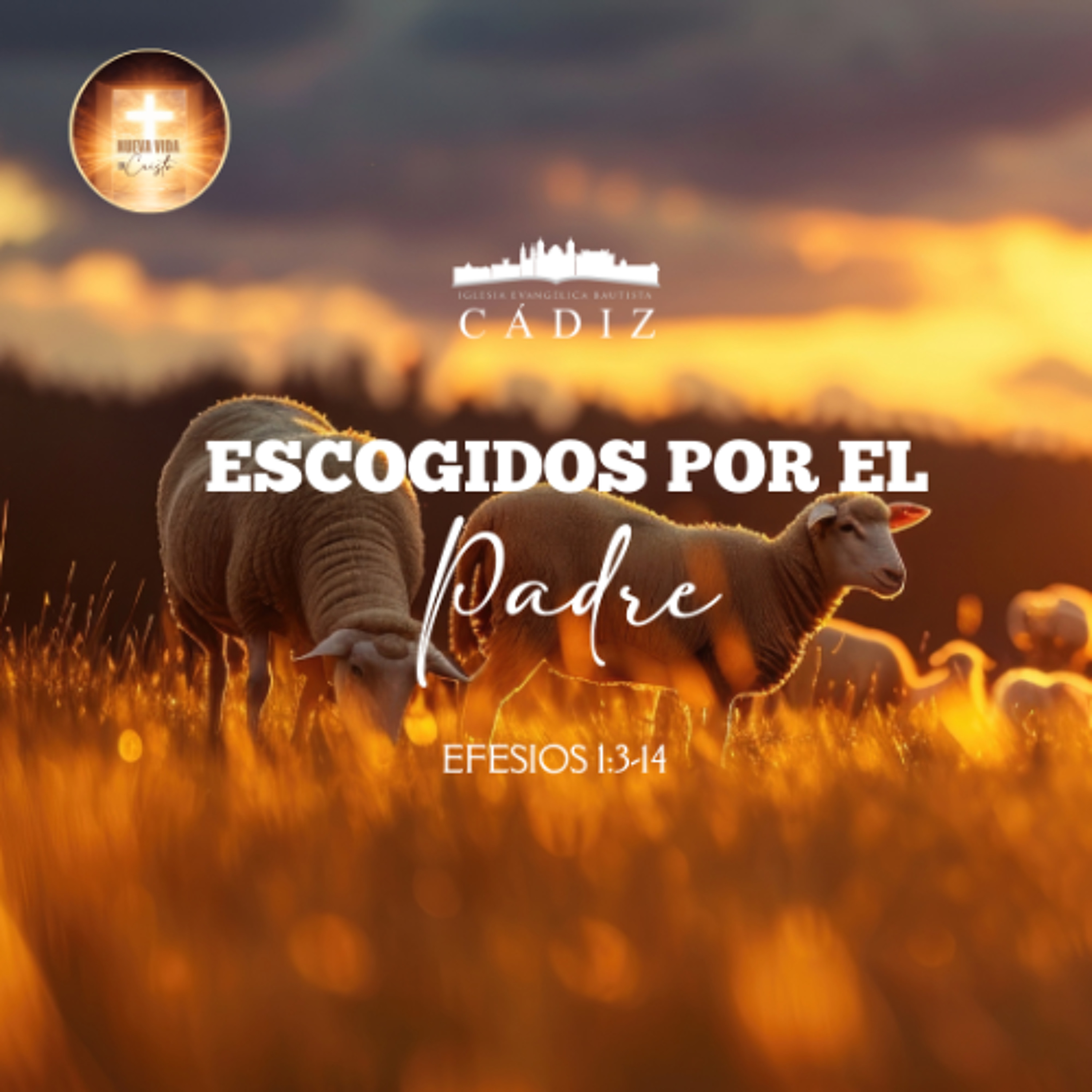 2. Escogidos por el Padre. Serie Efesios