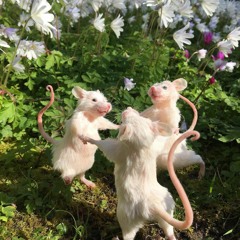 Little Things (Big Thief Nightcore)