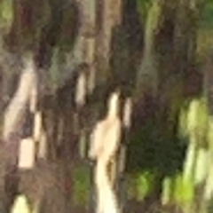 Gör om gör rätt