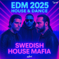 EDM 2025 House & Dance  by bigFM nitroX