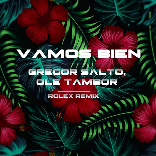 Stream Gregor Salto, Olé Tambor - Vamos Bien (Rolex Remix) by ROLEX |  Listen online for free on SoundCloud