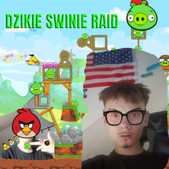 dzikie swinie raid (zmas)