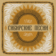 Ночь темная