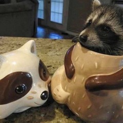 cinnamon cookies (mammalfriend nightcore remix)