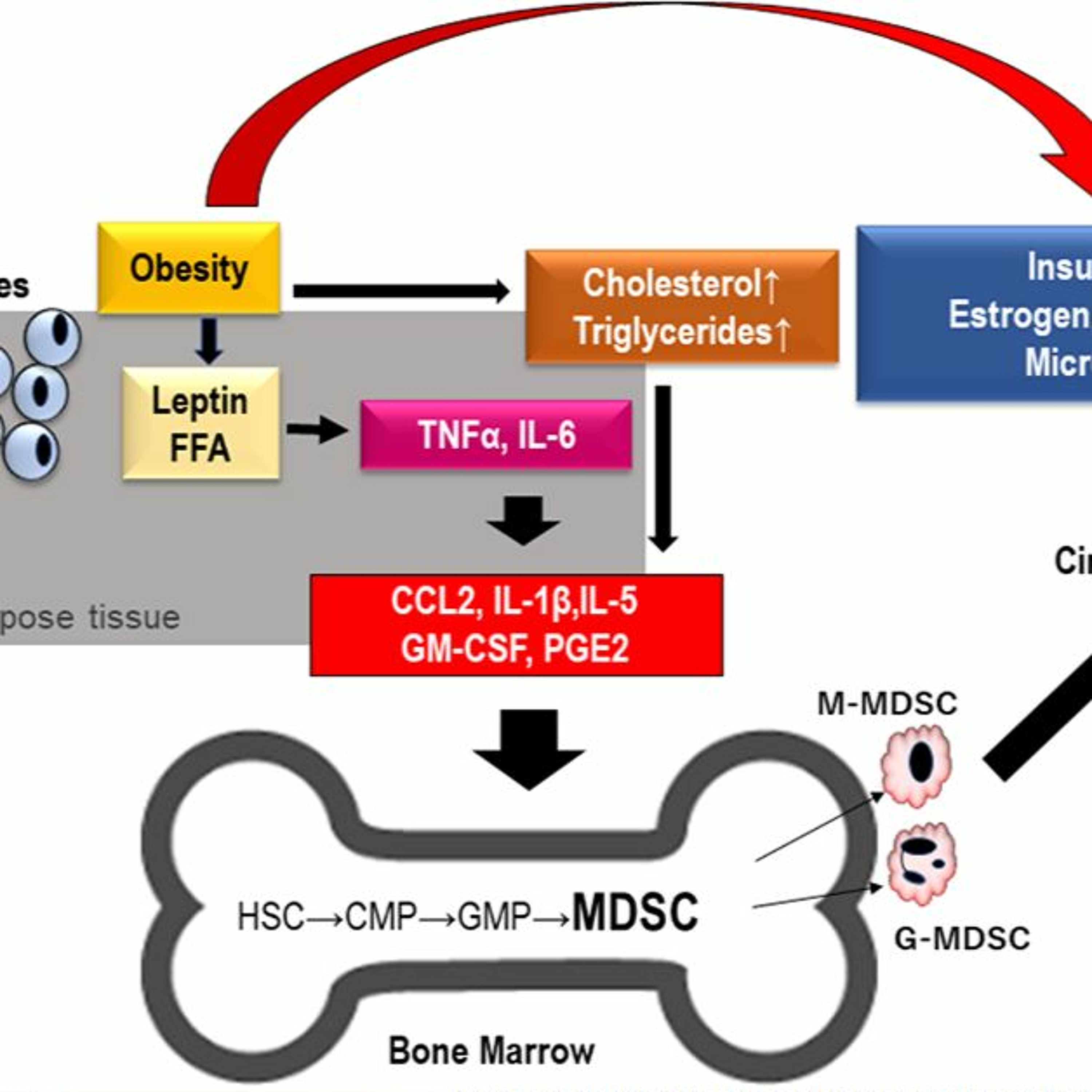 Oncotarget
