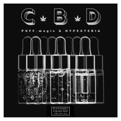 [Premiere] PUFF.magic & Hypesteria - So Shady (out on Black Marble Collective)