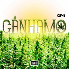 01 CÂNHAMO - MANO GPO - PLUG