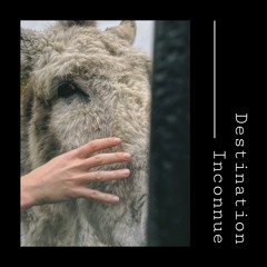 Le Sentier Des Étoiles