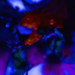 No Favours [prod. tenno x manosrevenge]