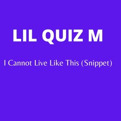 I Cannot Live Like This (Snippet) [feat. NTK-BeatZ]
