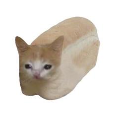 im so cooked fr: soulhop