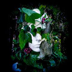 VINES