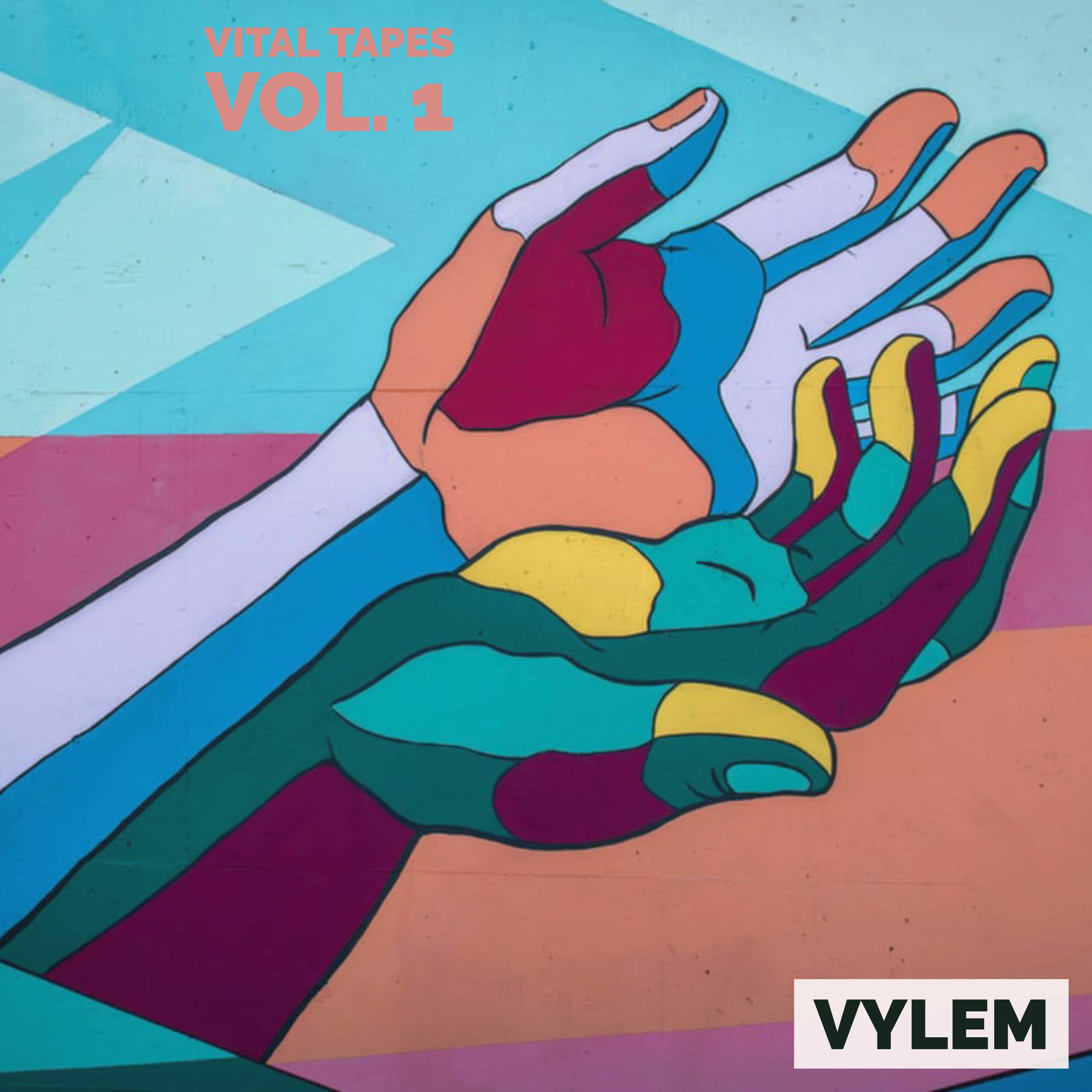 VYLEM