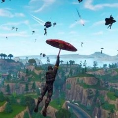 Fortnite Bot