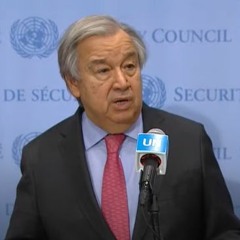 CLIP - UN Secretary-General remarks to press on the war in Ukraine, 14 March 2022