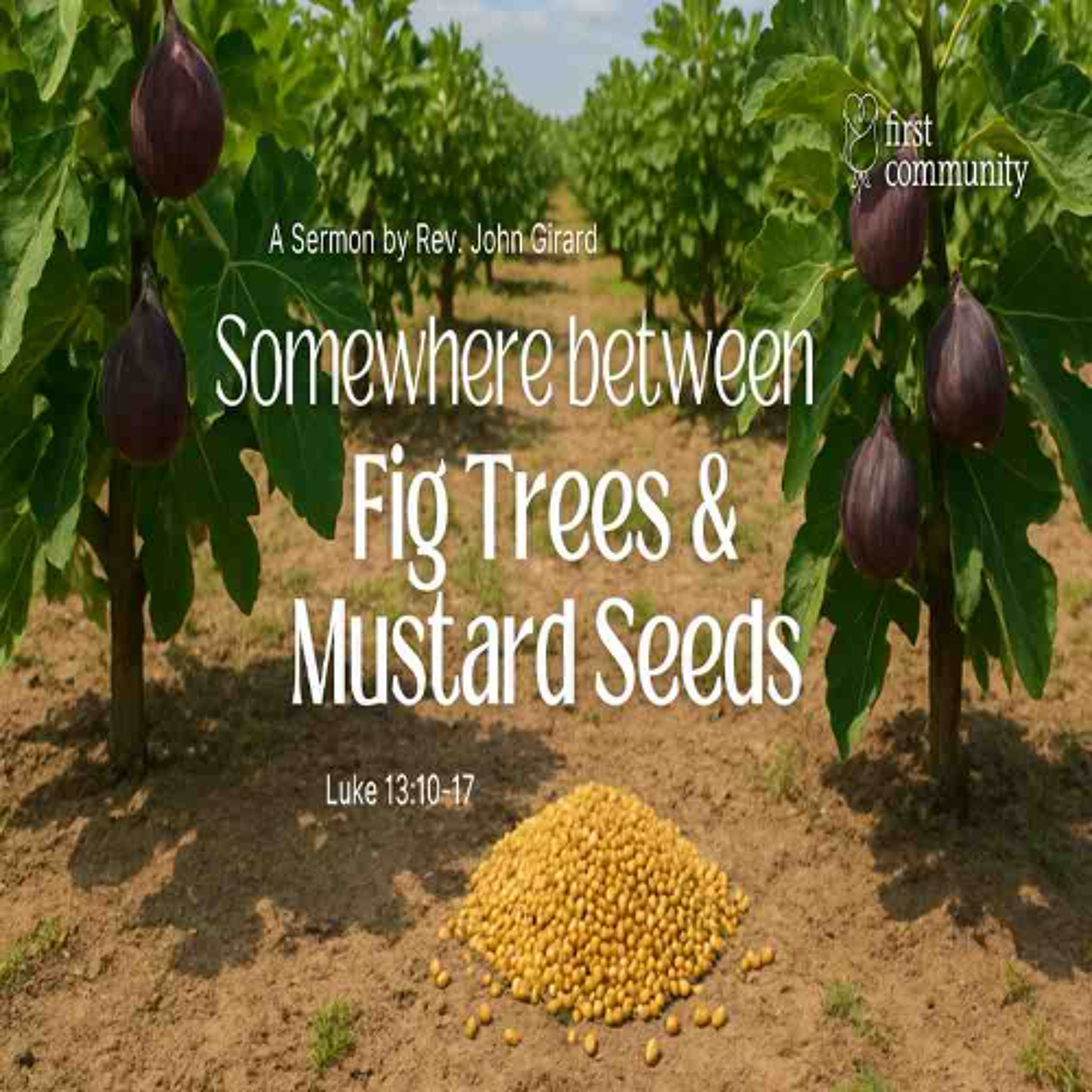 First Community Church, 08.24.25  Rev. John Girard- Sermon, Somewhere between Fig Trees and Mustard Seeds episode artwork