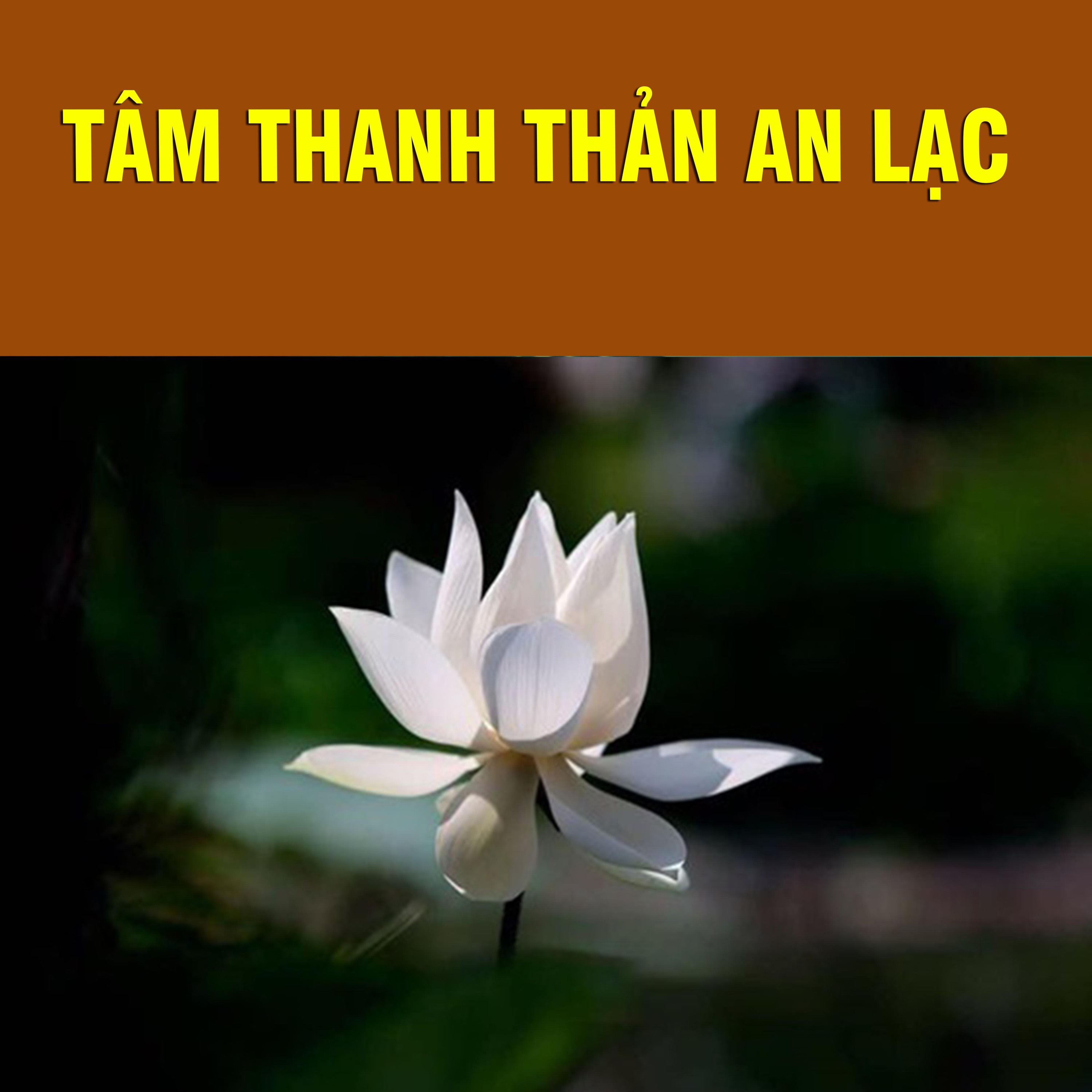 Thích Bảo Nguyên