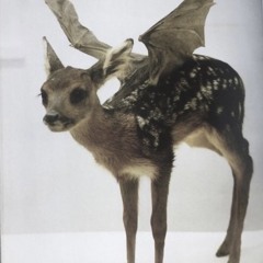 hear see speak prod. tidkoff