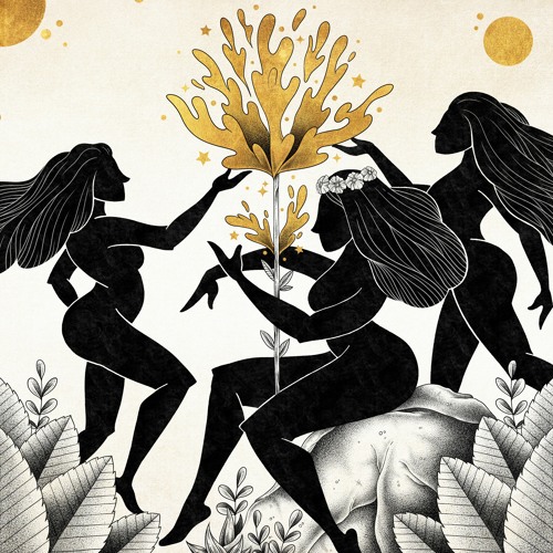 MUSES