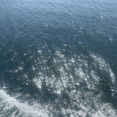 泡沫
