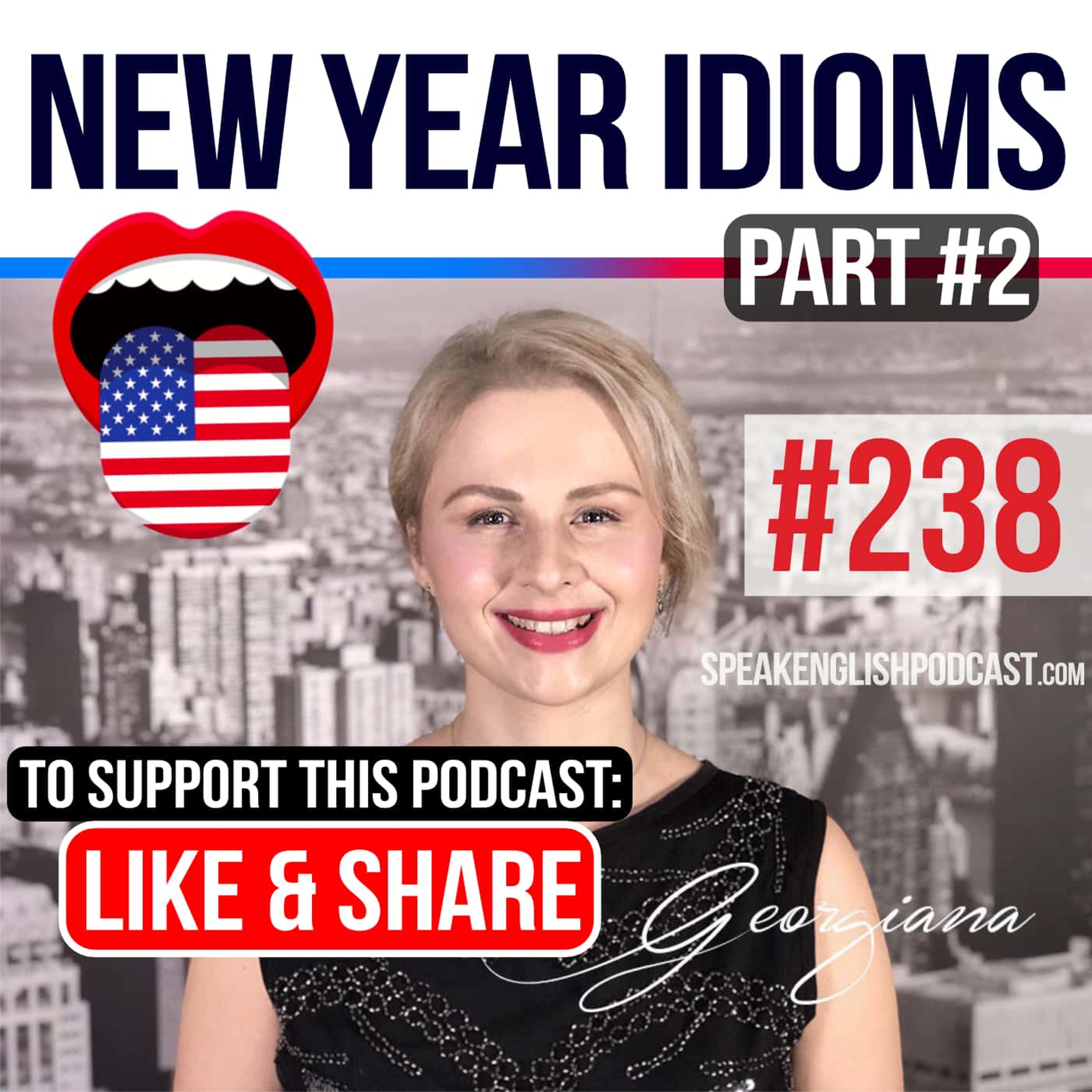 #238 English Idioms for the New Year - part2 episode artwork