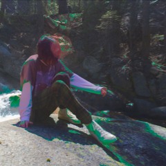 2 - snow garden