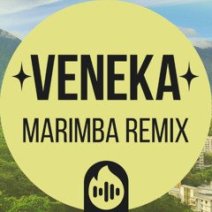 Firetonez - Veneka (Marimba Remix)