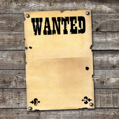 Wanted Wanted