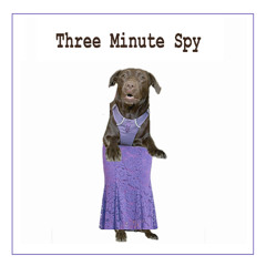 Three Minute Spy