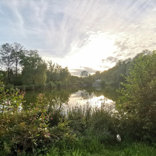 the script- for the first time (piano)