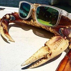 crab with sunglasses on