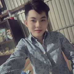 VIETMIX 2K25 - LỤM VOL1 - VANCHIEN MIX