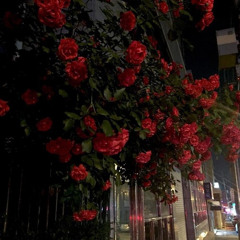 desolation (prod. cxrpse)