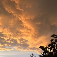 Tasha - 10 August 2024