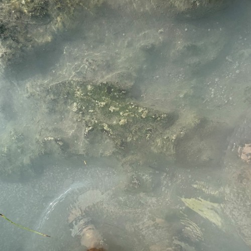 Dare 2 learn (Debussy)