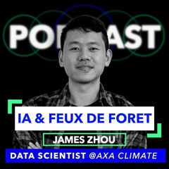 Data Stories Inside - Episode #1 : l'IA au service de la détection des feux de forêts.