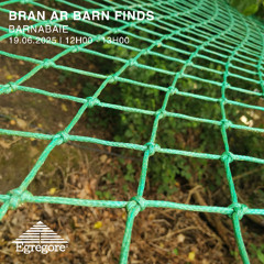 Bran ar Barn Finds