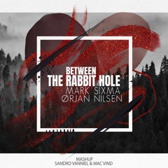 Mark Sixma Vs. Orjan Nilsen - Between The Rabbit Hole (Sandro Vanniel & Mac Vind Mashup)