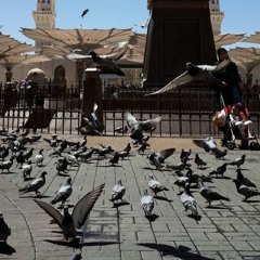 ما تيسر من سورة الأنعام | الشيخ محمد أيوب | ☁️