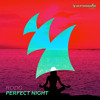 Descargar video: Perfect Night