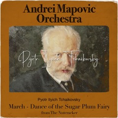 Andrei Mapovic Orchestra - Tchaikovsky The Nutcracker, March