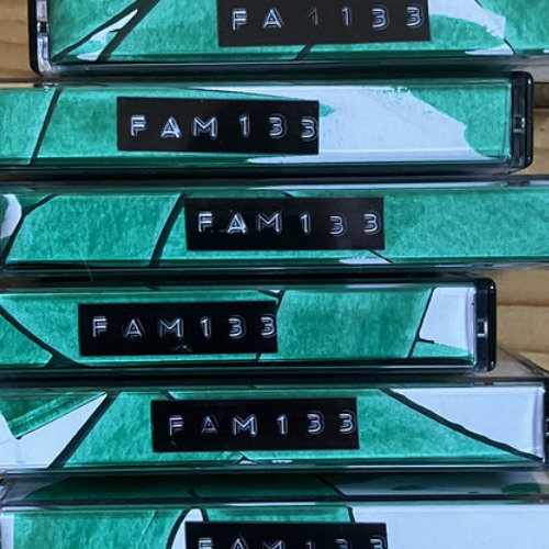 RTNH - Pulse Of The Forest - from "Tkeshi" [FAM133] out now