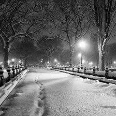 Winter (in New York and Japan)