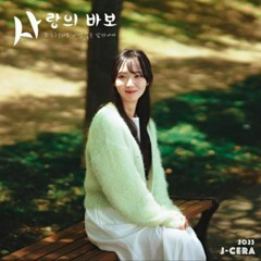 제이세라_사랑의 바보(sped up)