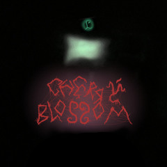 CHERRYBLOSSOM