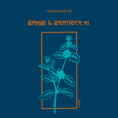 Herbarium No 030 - Bambi & Beatrice M. - Mentha