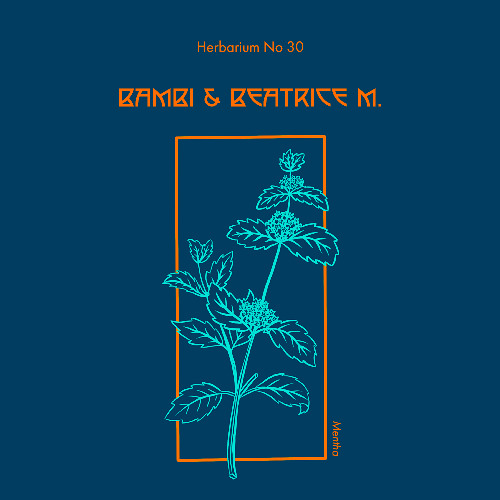 Herbarium No 030 - Bambi & Beatrice M. - Mentha