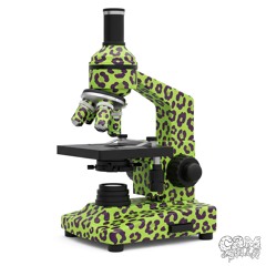 Old Ways - Lab Group (Cam the Sella Flip)